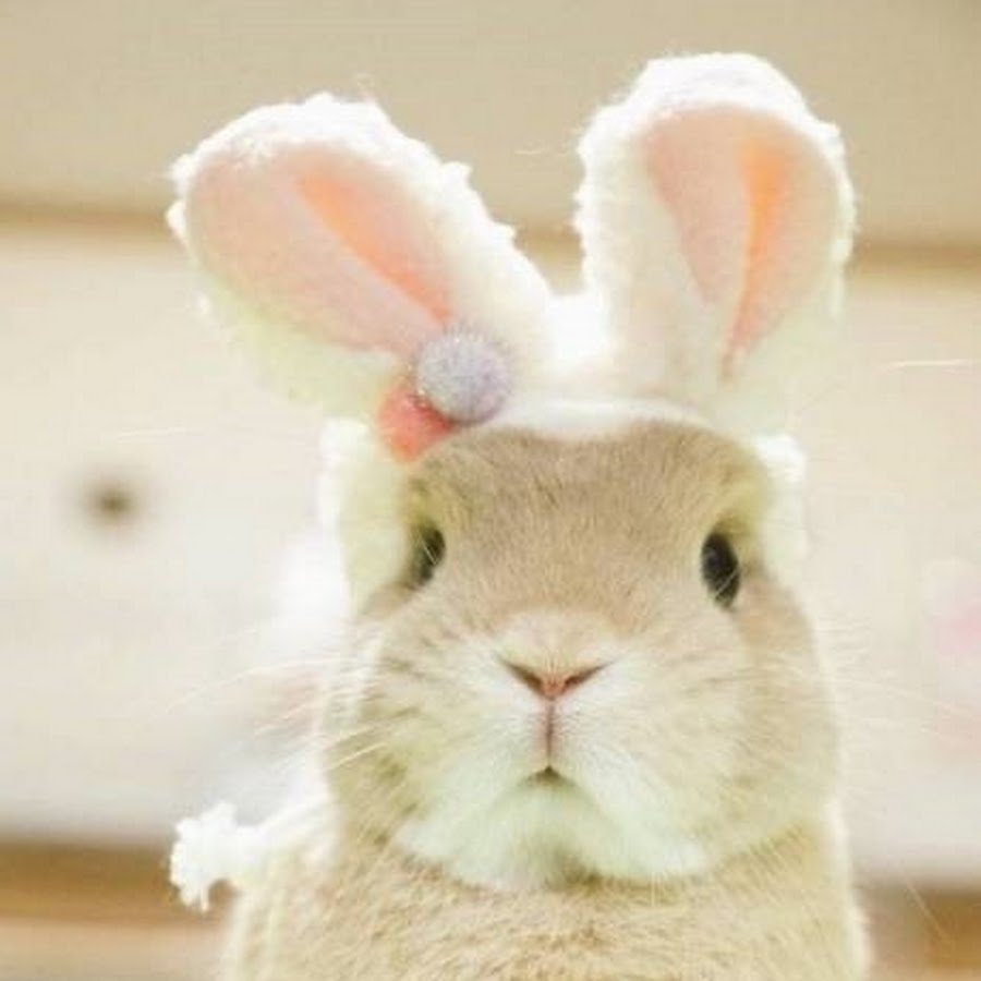 Доброе утро Оксана