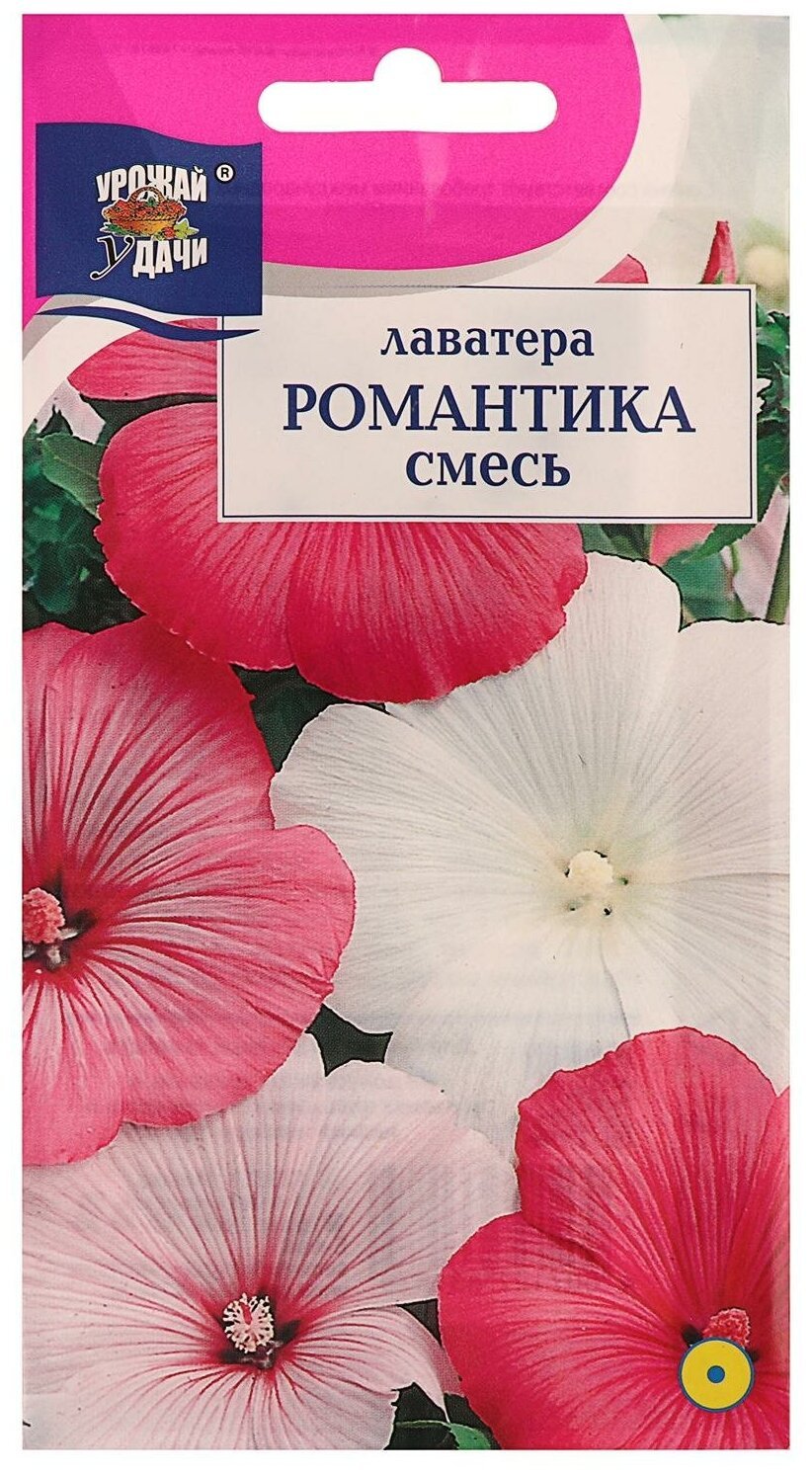 Лаватера Лавлайнс