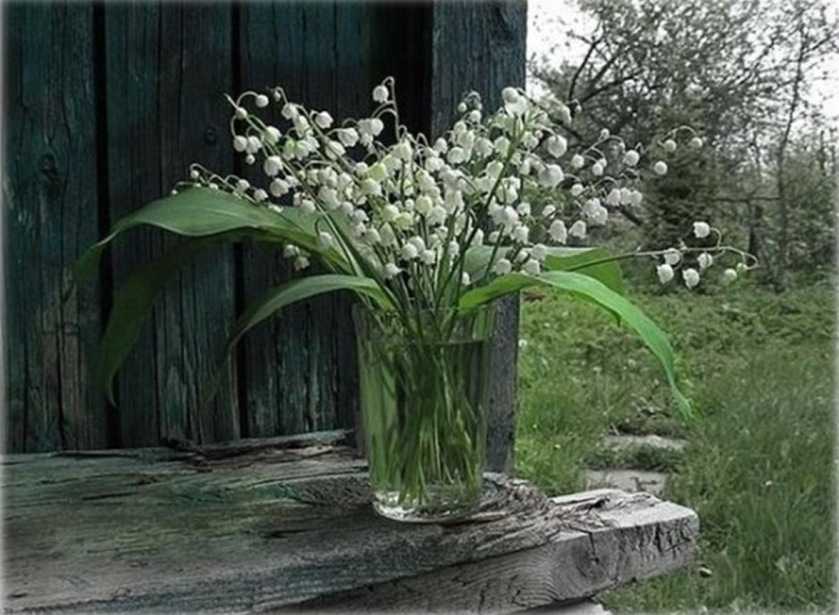 Букет ландышей в лесу