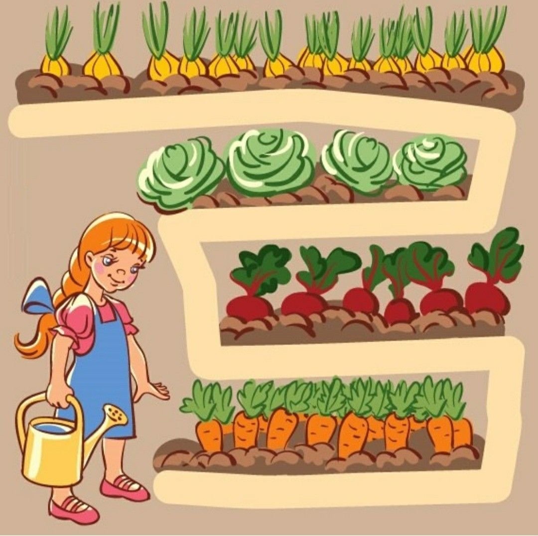 Огород на подоконнике