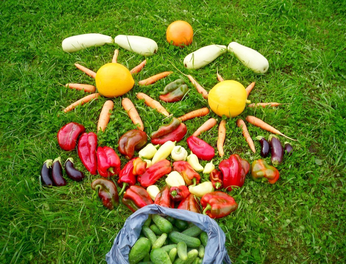 Название веселый огород