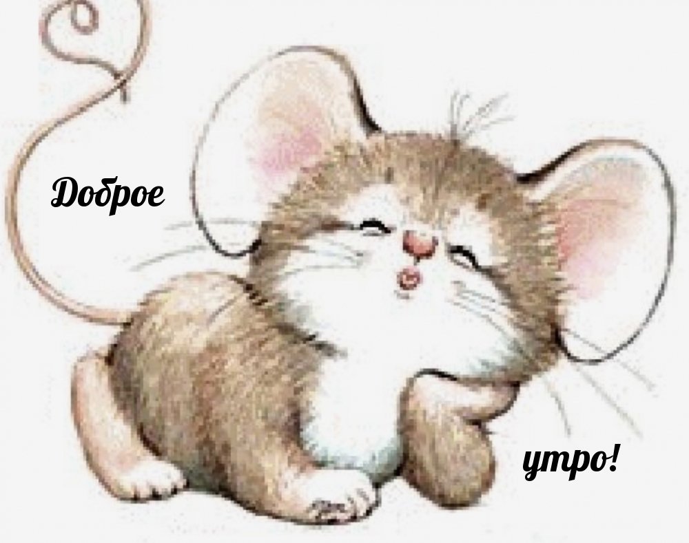 Картинки с добрым утром с мышками
