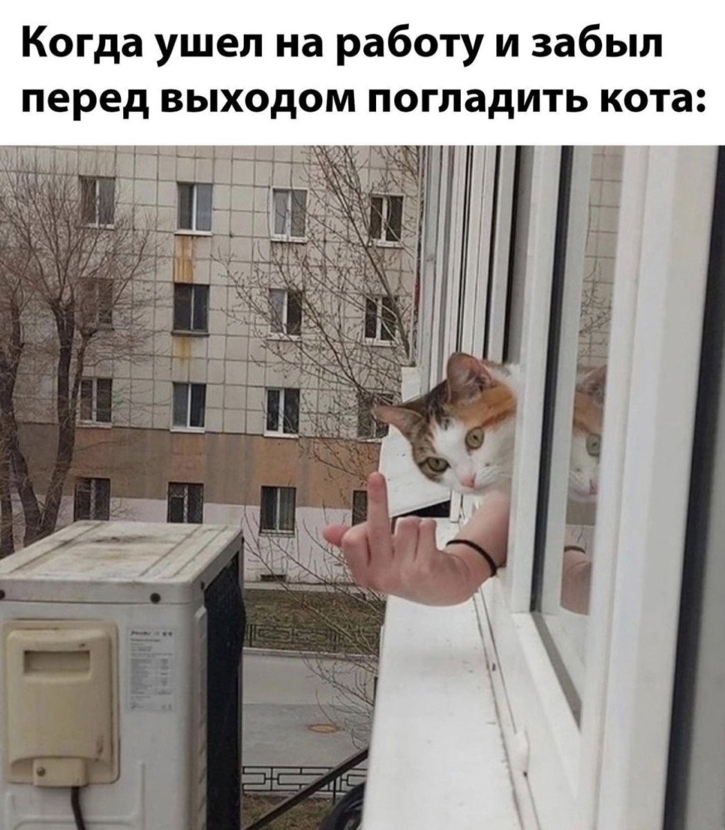 Картинки на тему архив