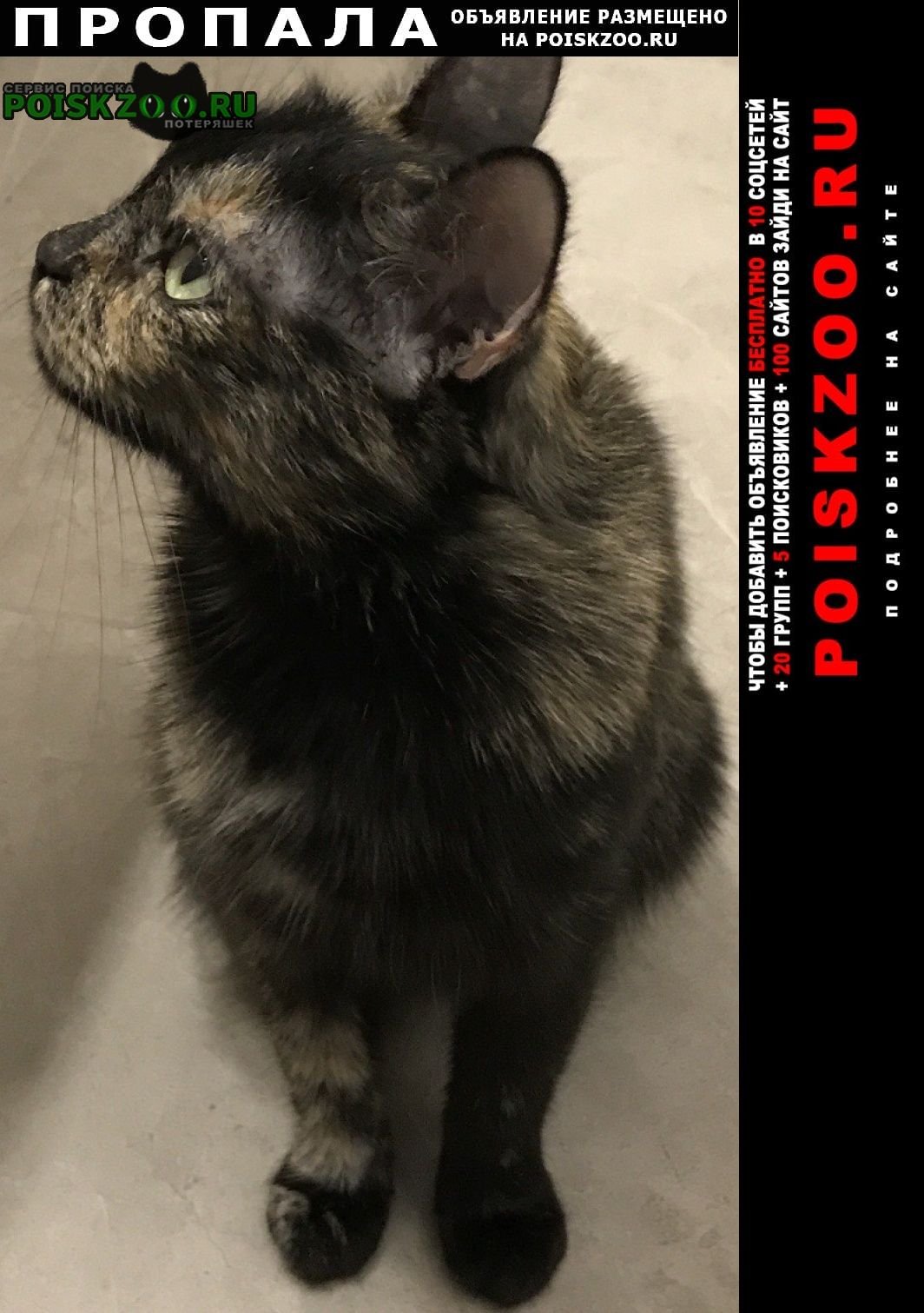 Потеряшки Курган