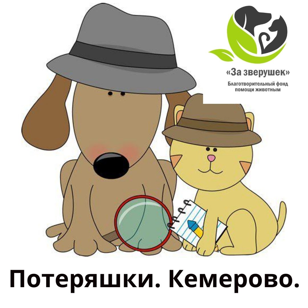 Потеряшка Кемерово