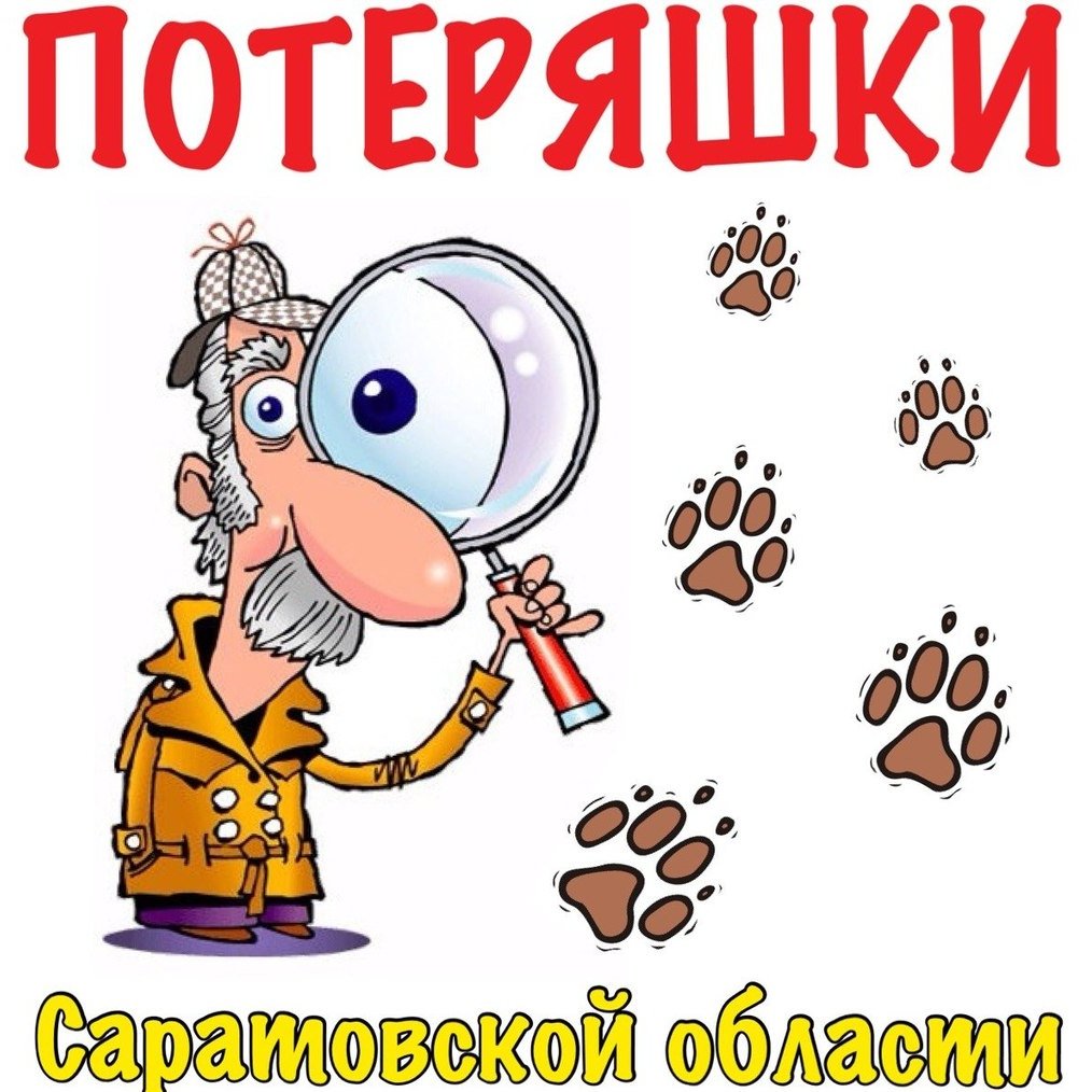 Потеряшки картинка