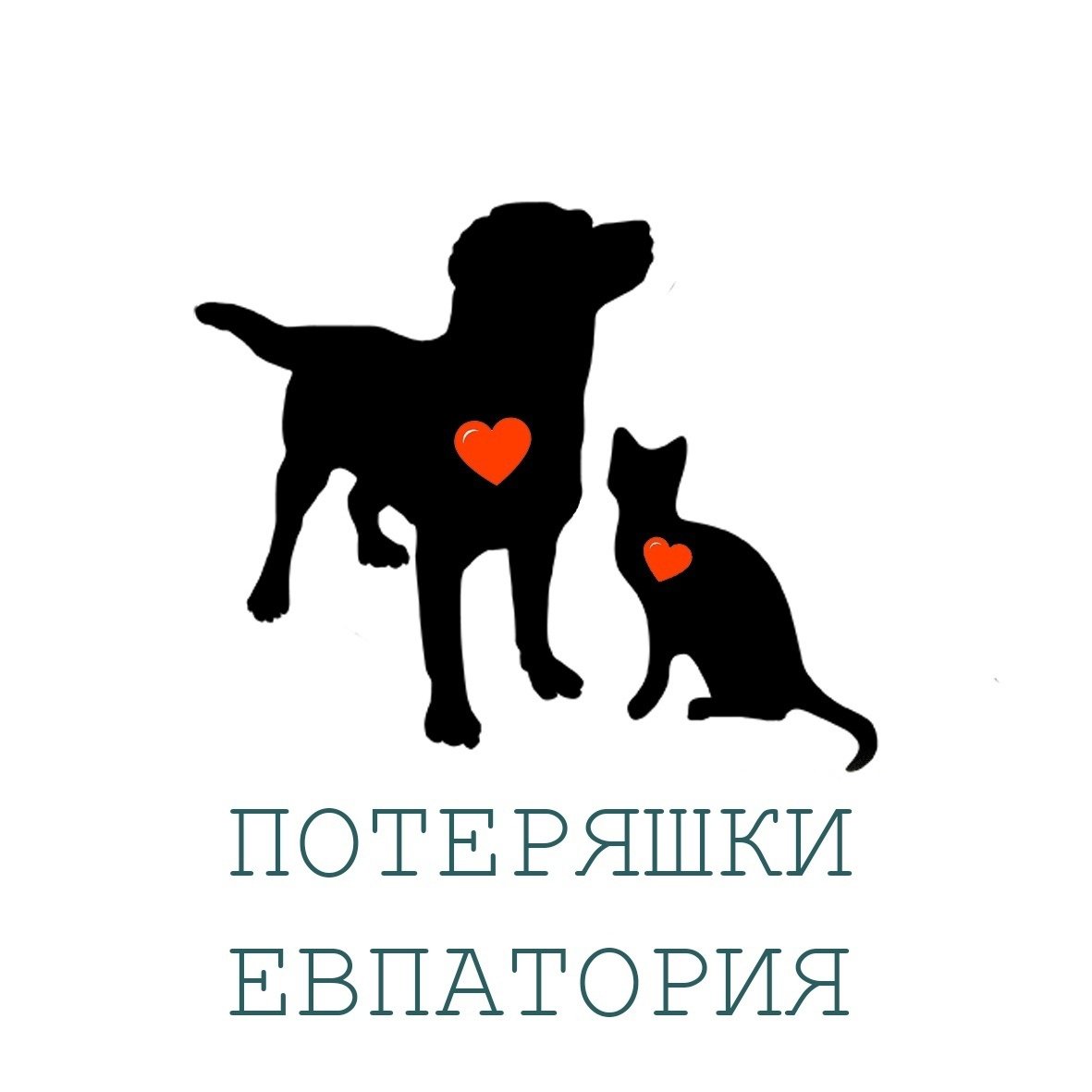 Найдена собака Московская область