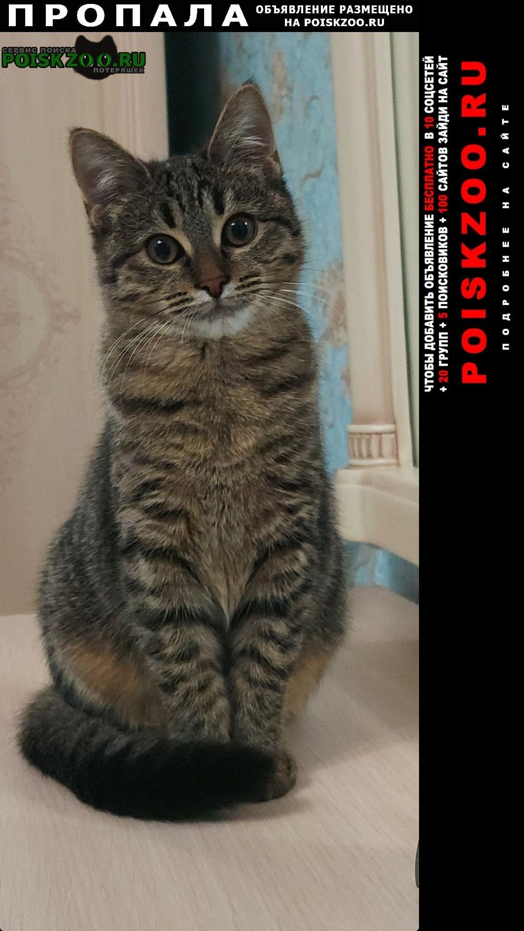 Я потерялся помогите вернуться домой