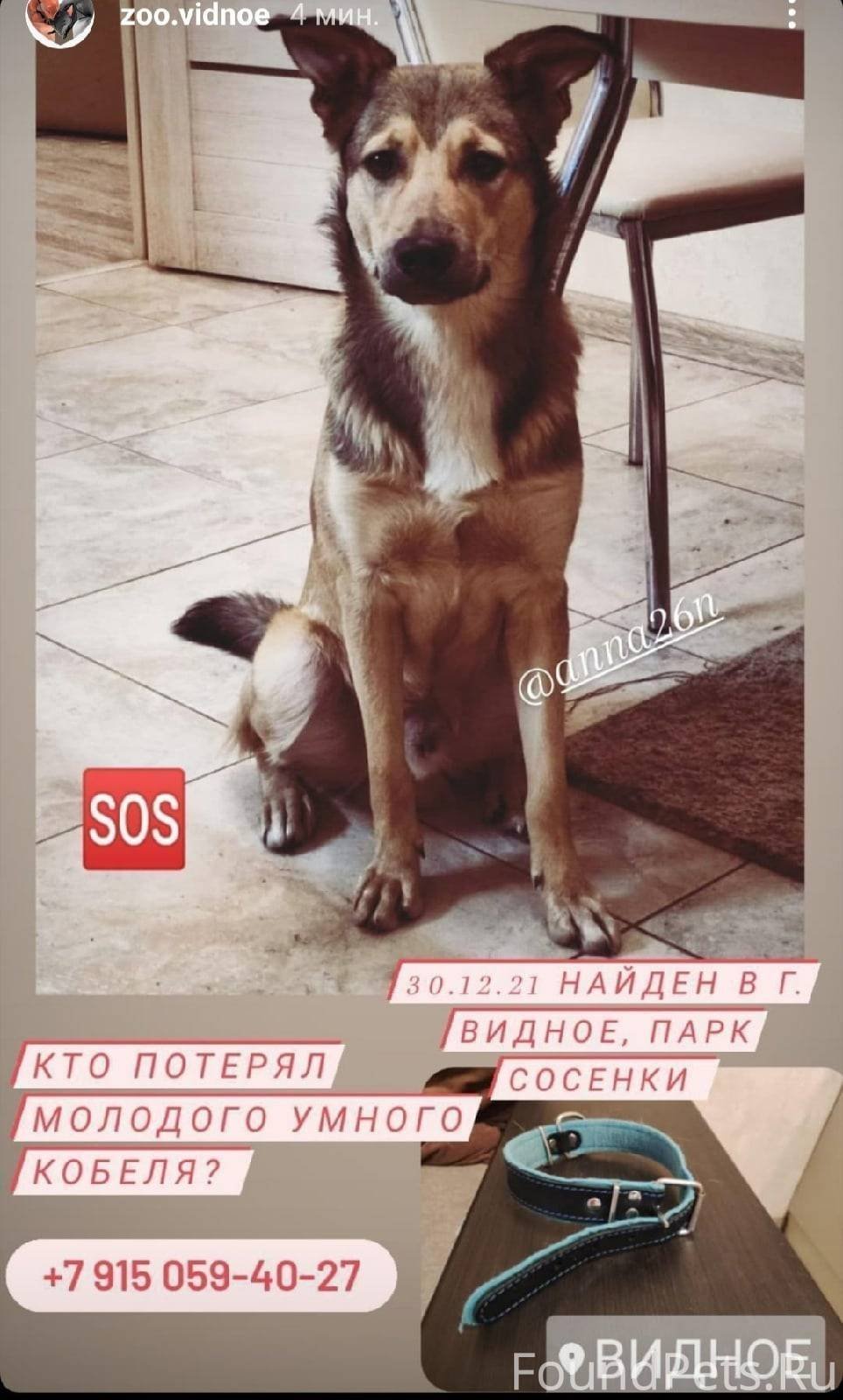 Чья потеряшка надпись