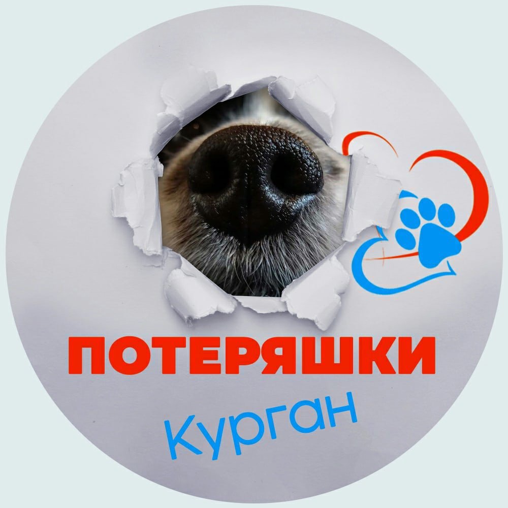 Потерялась собака