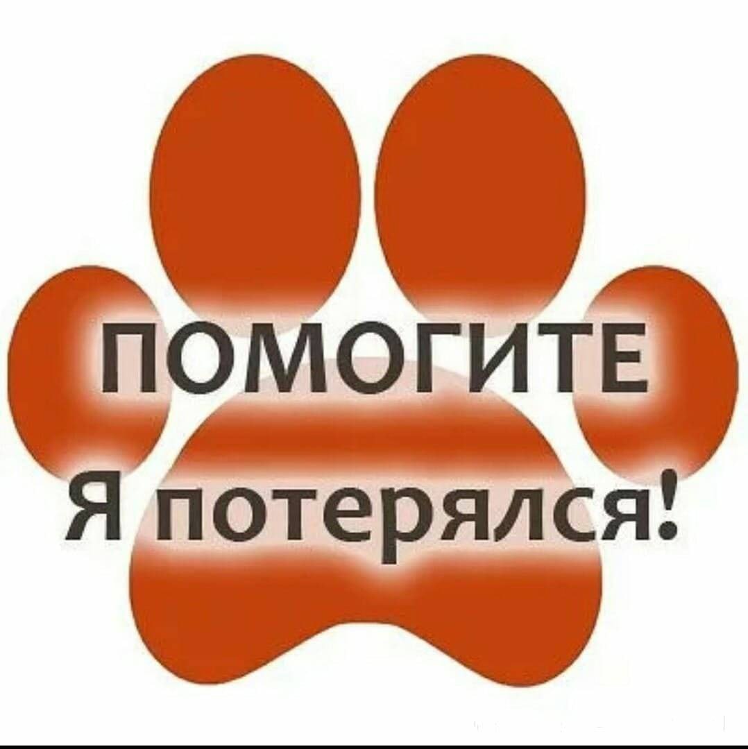 Потеряшка нашлась