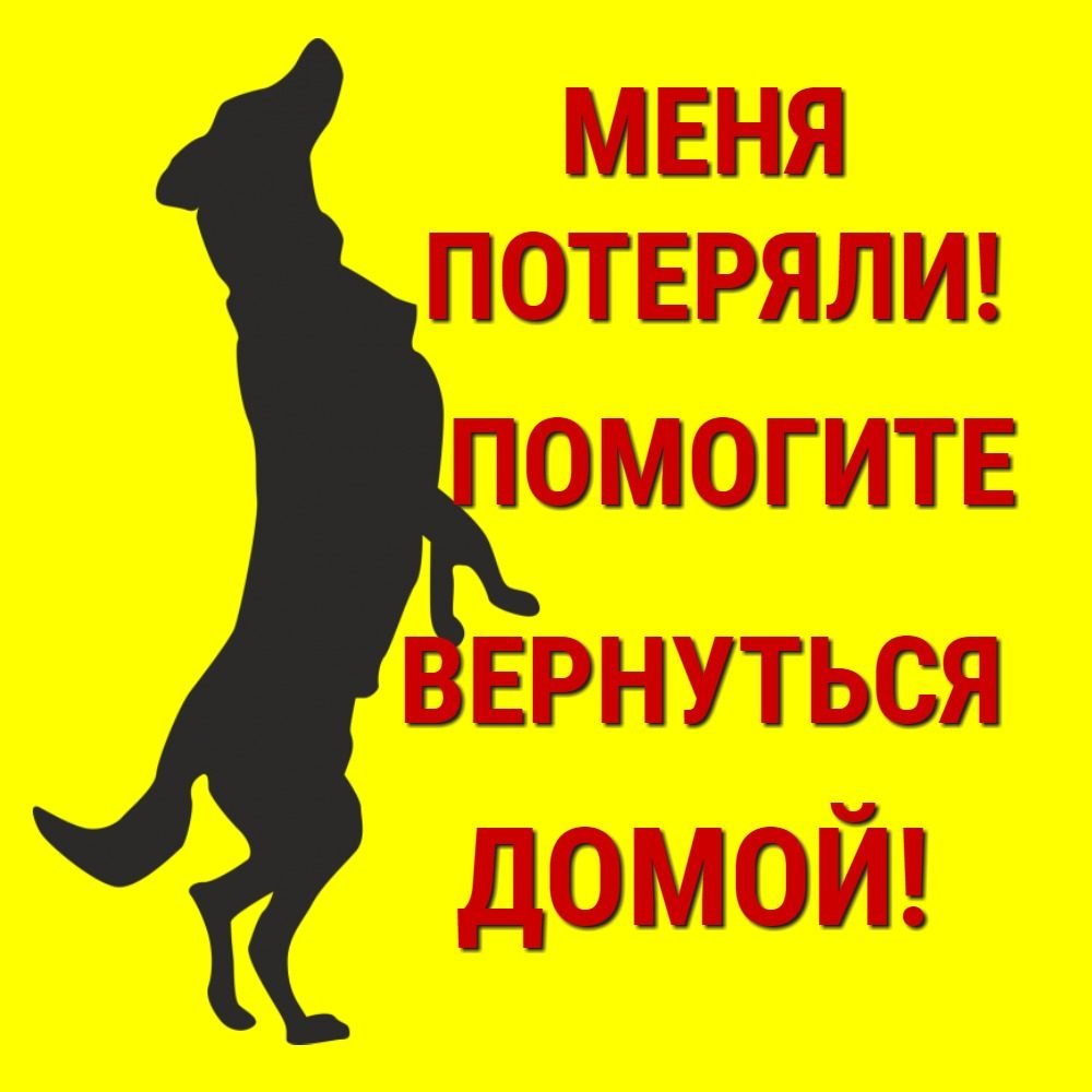 Объявления о пропаже хаски в Московской области