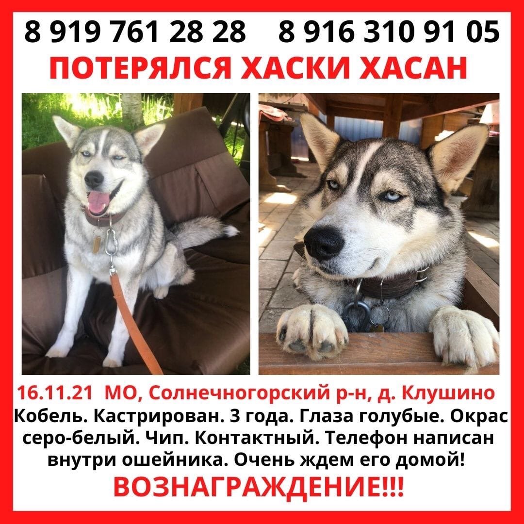 Потеряшки Ангарск