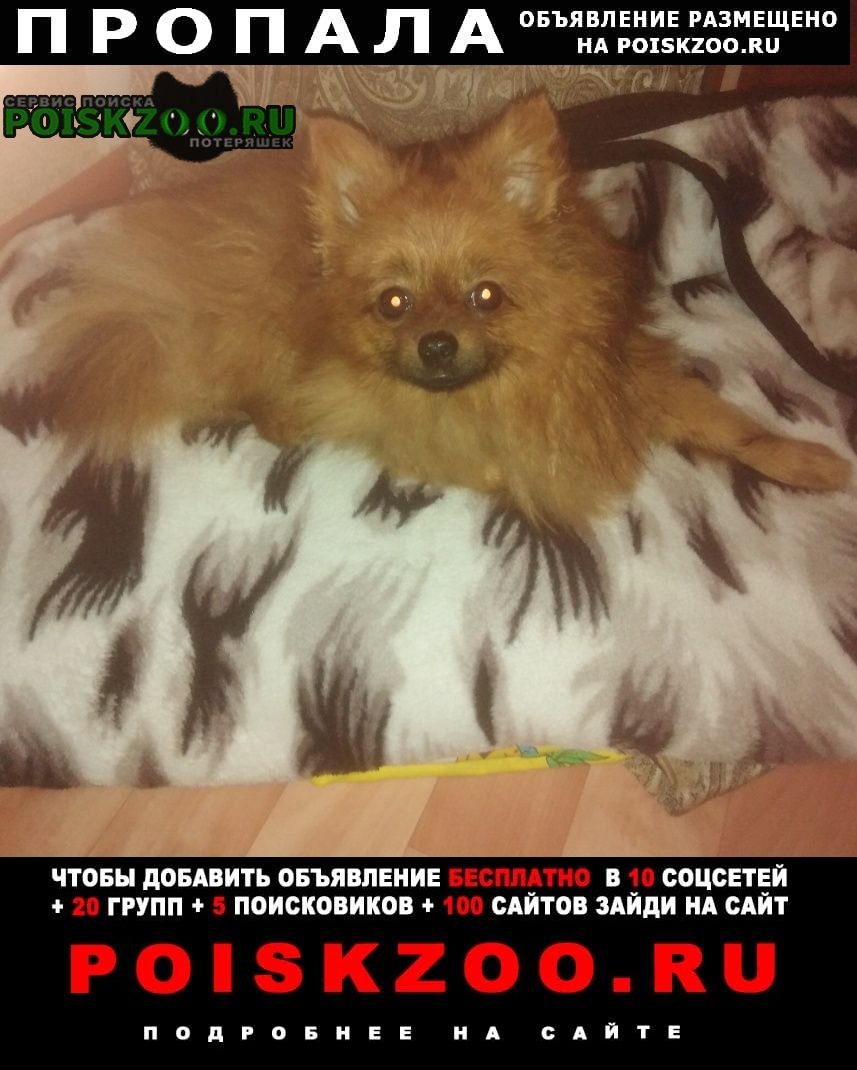 Потерялся картинка