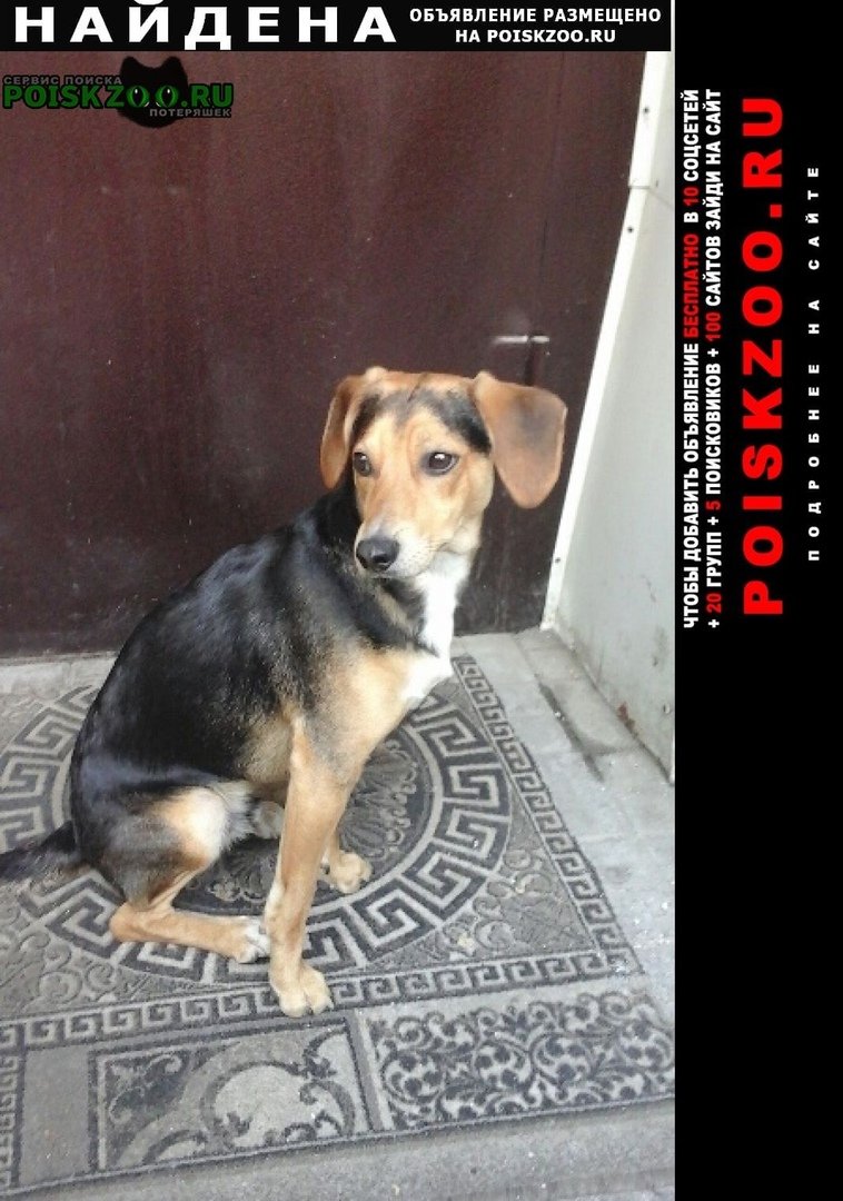 Потеряшка логотип