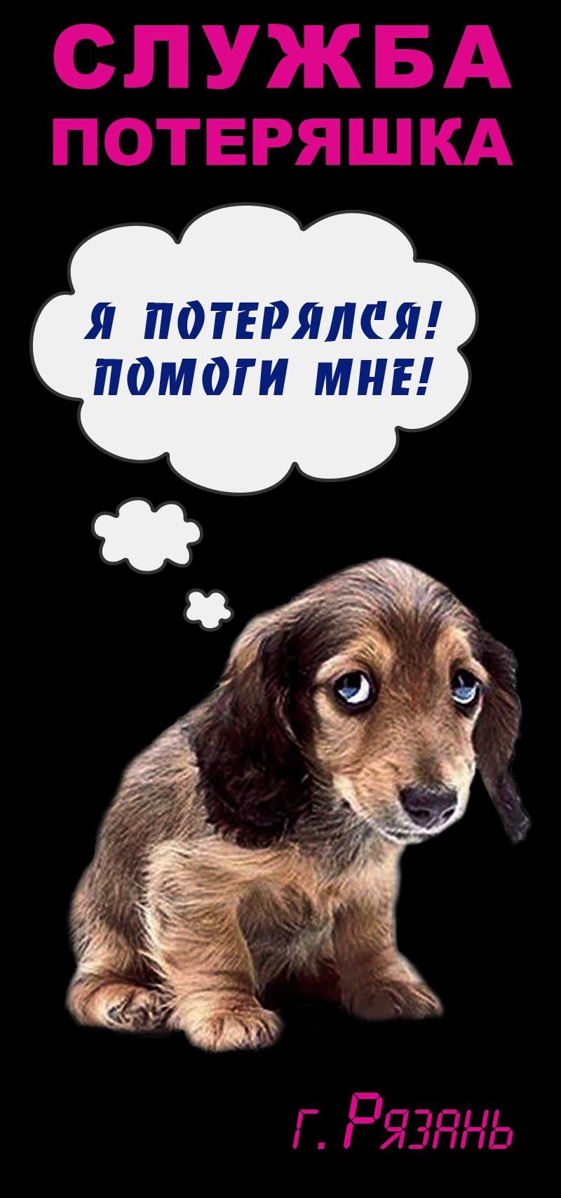 Картинка потеряшки