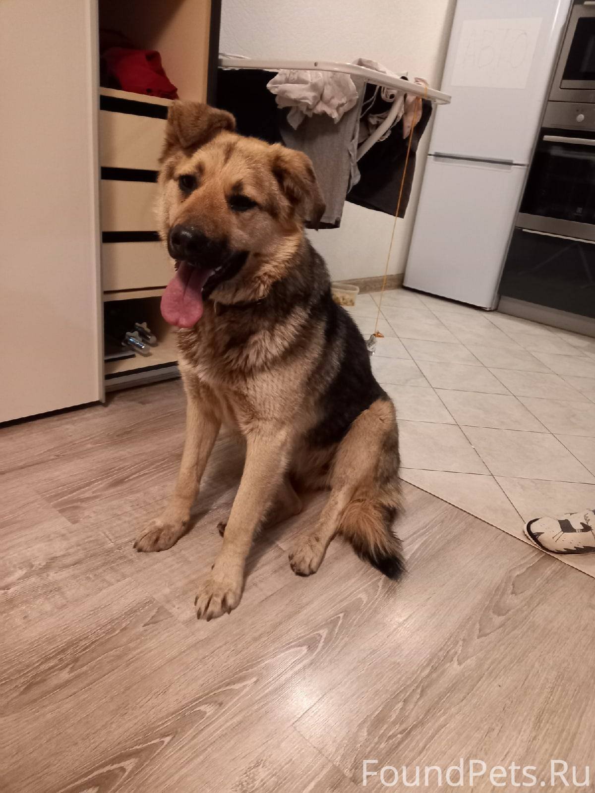 Я потерялся надпись