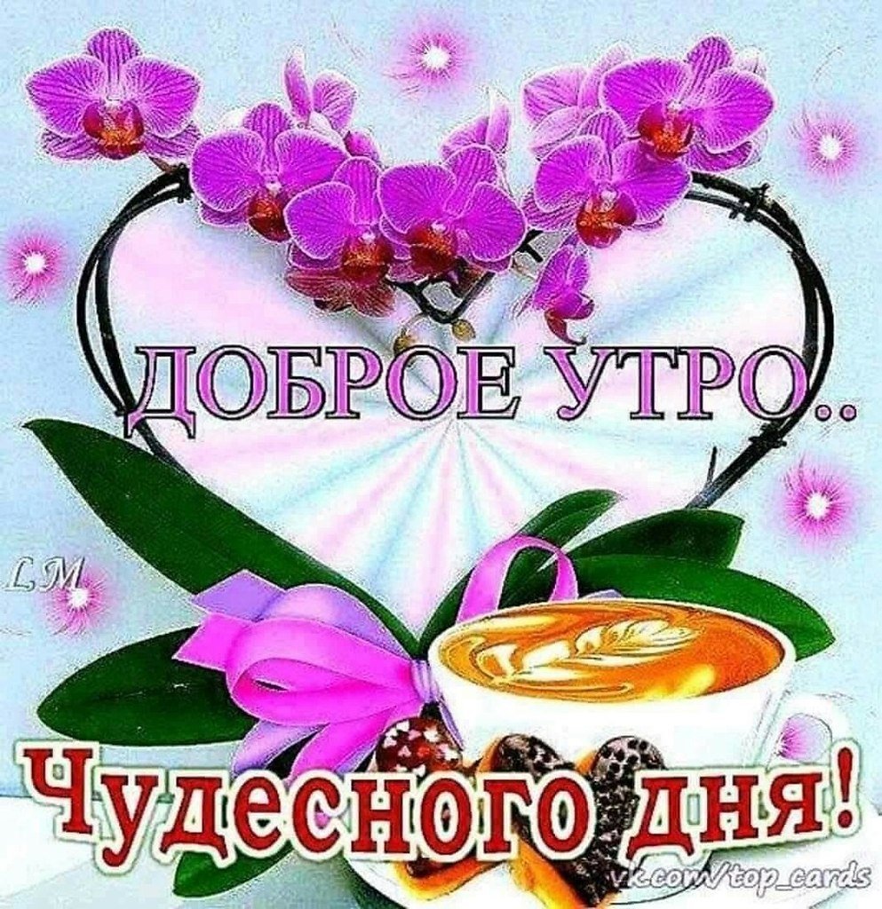 Доброе утро здоровья