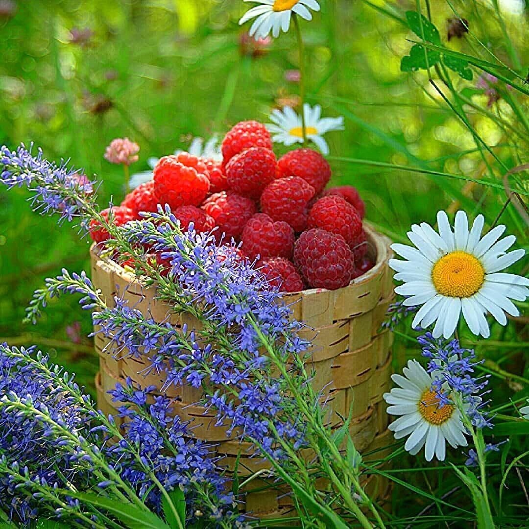 Нежные пожелания с добрым утром