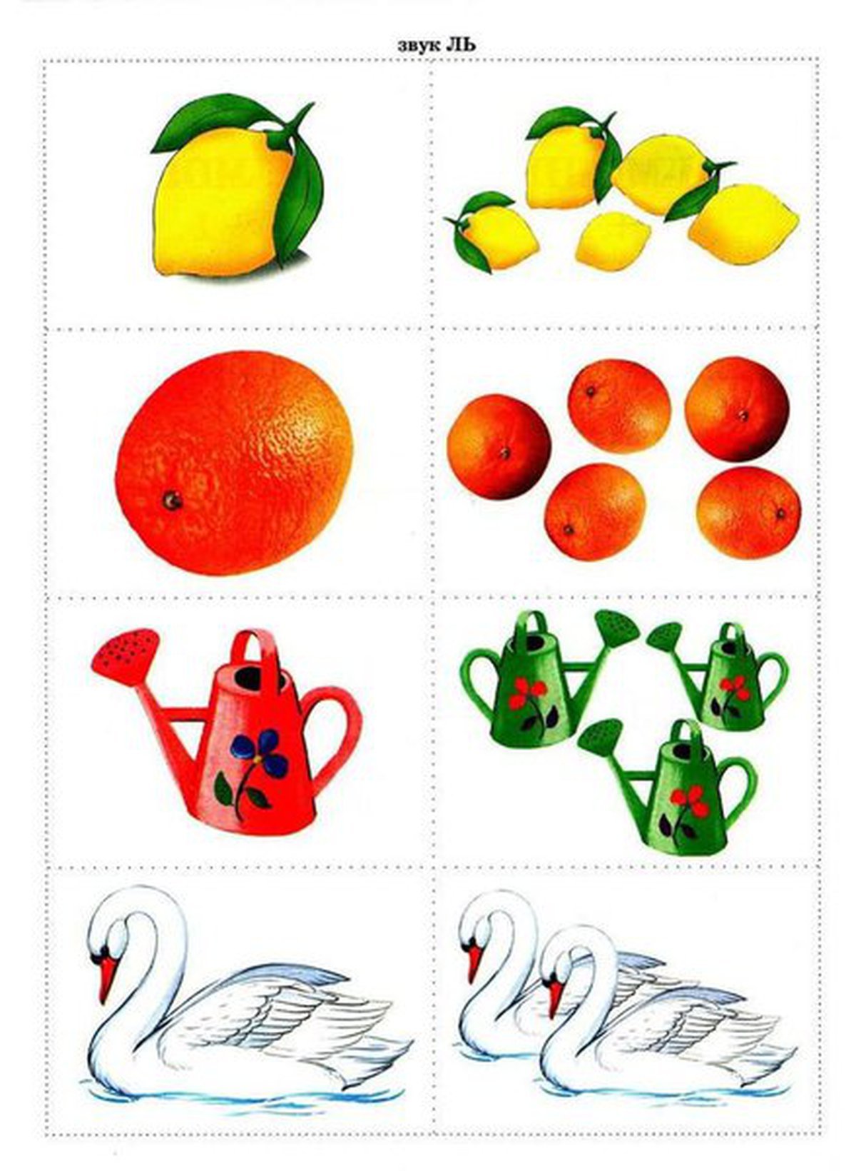 Карточки один много для дошкольников