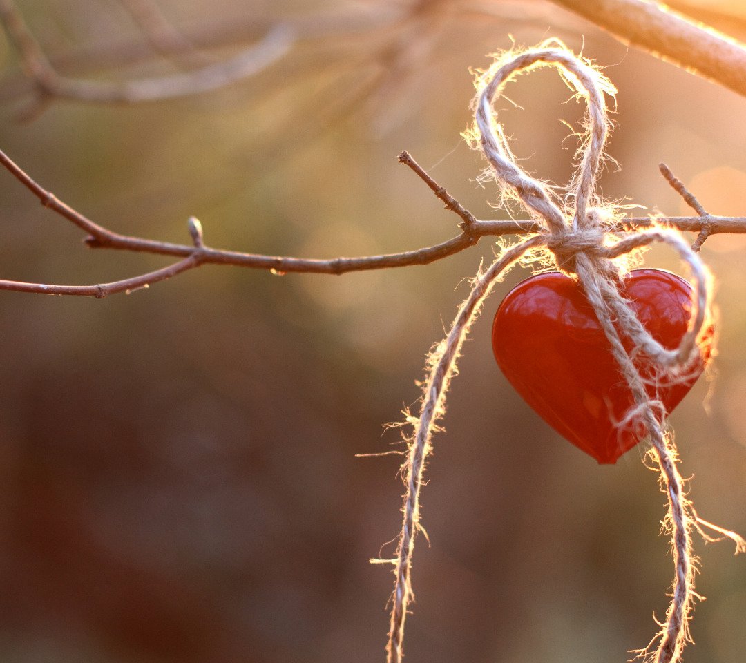 Красивые слова про сердце