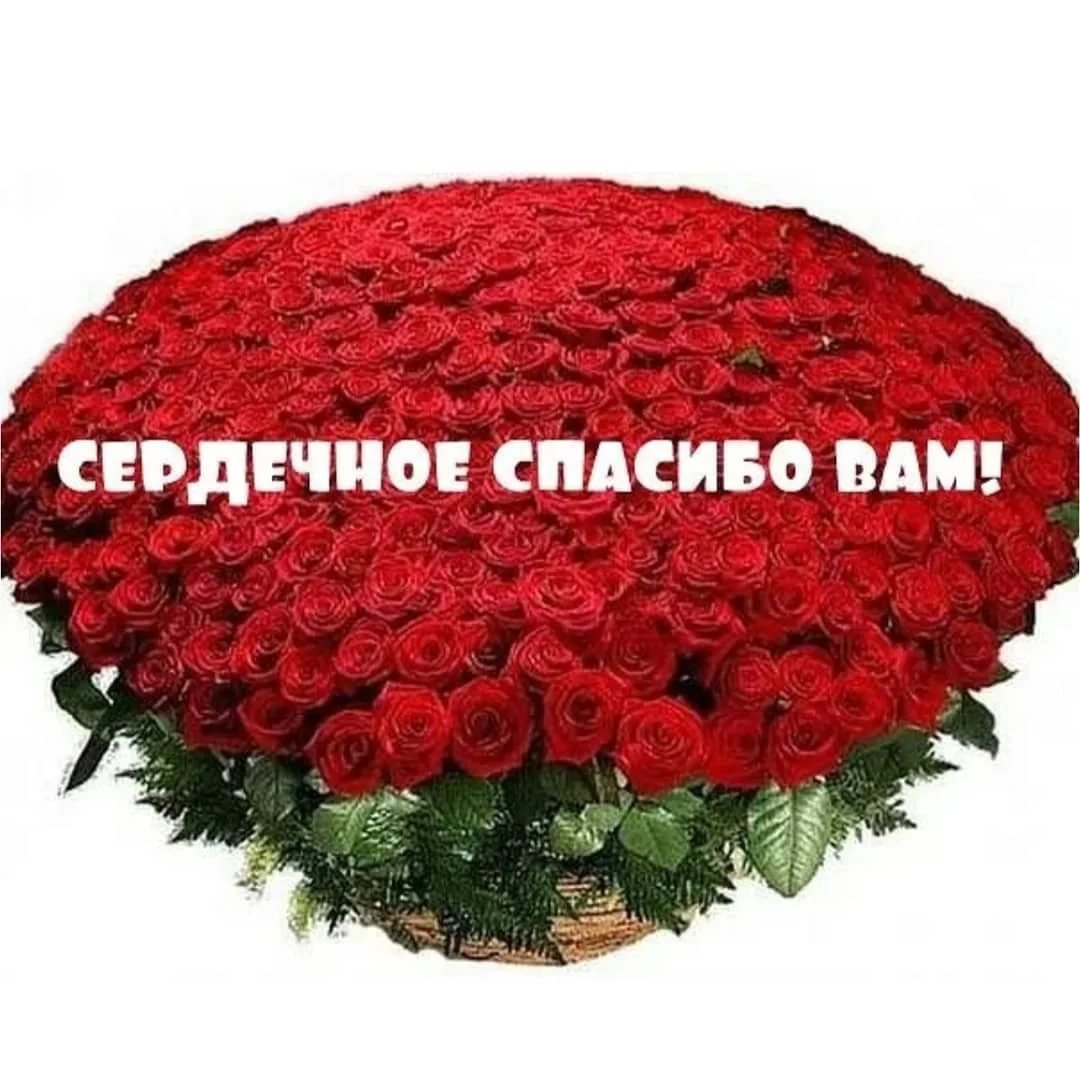 Приветик красивые цветы