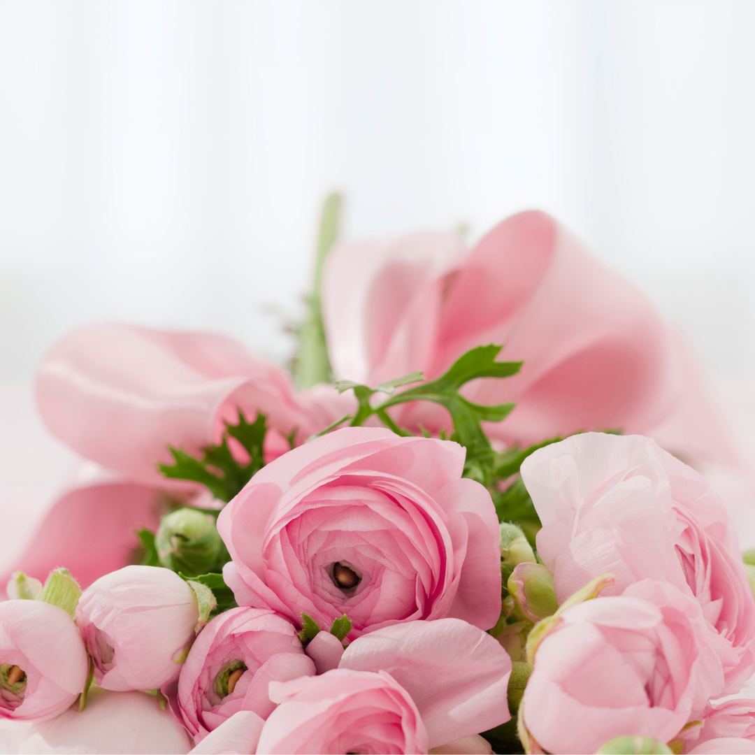 Анайлэн нуналэныз