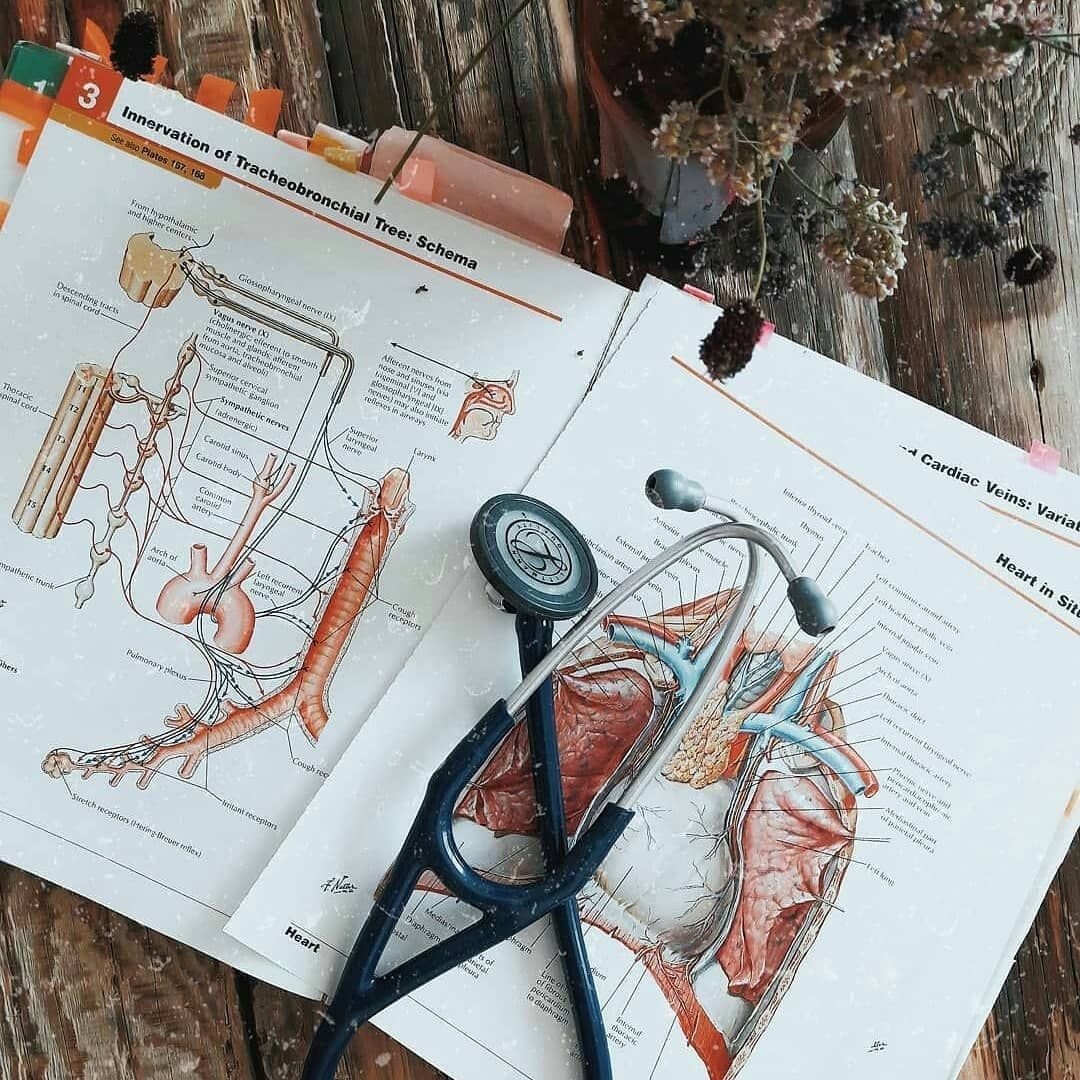 Стетоскоп сердце