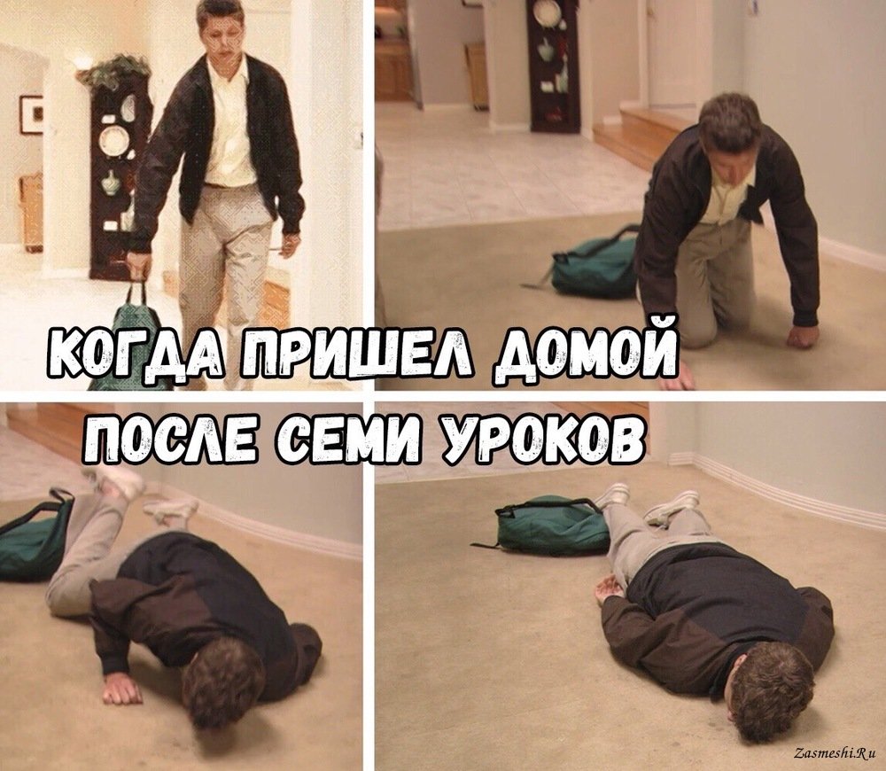 Кот в поезде