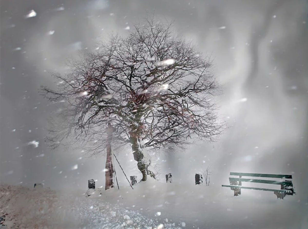 Сильный ветер зима