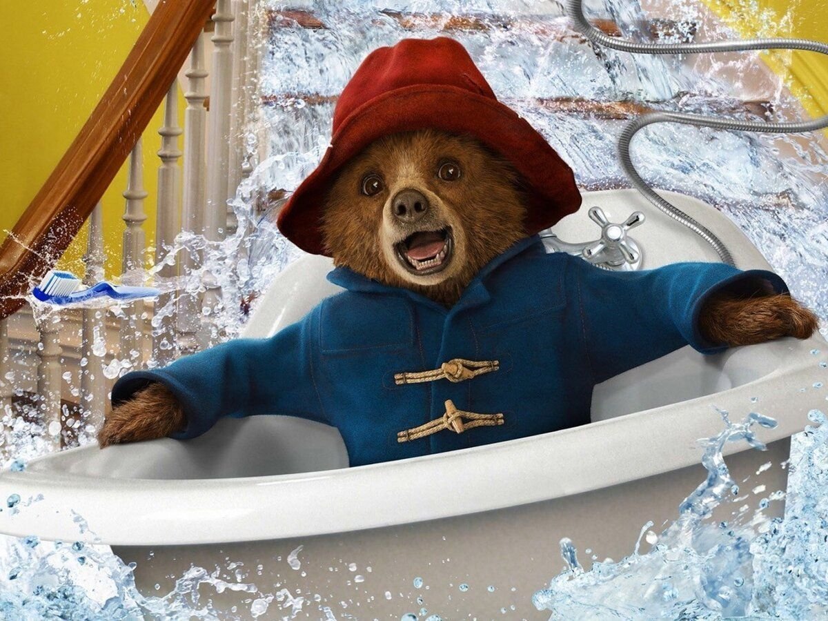 Приключения Паддингтона книга