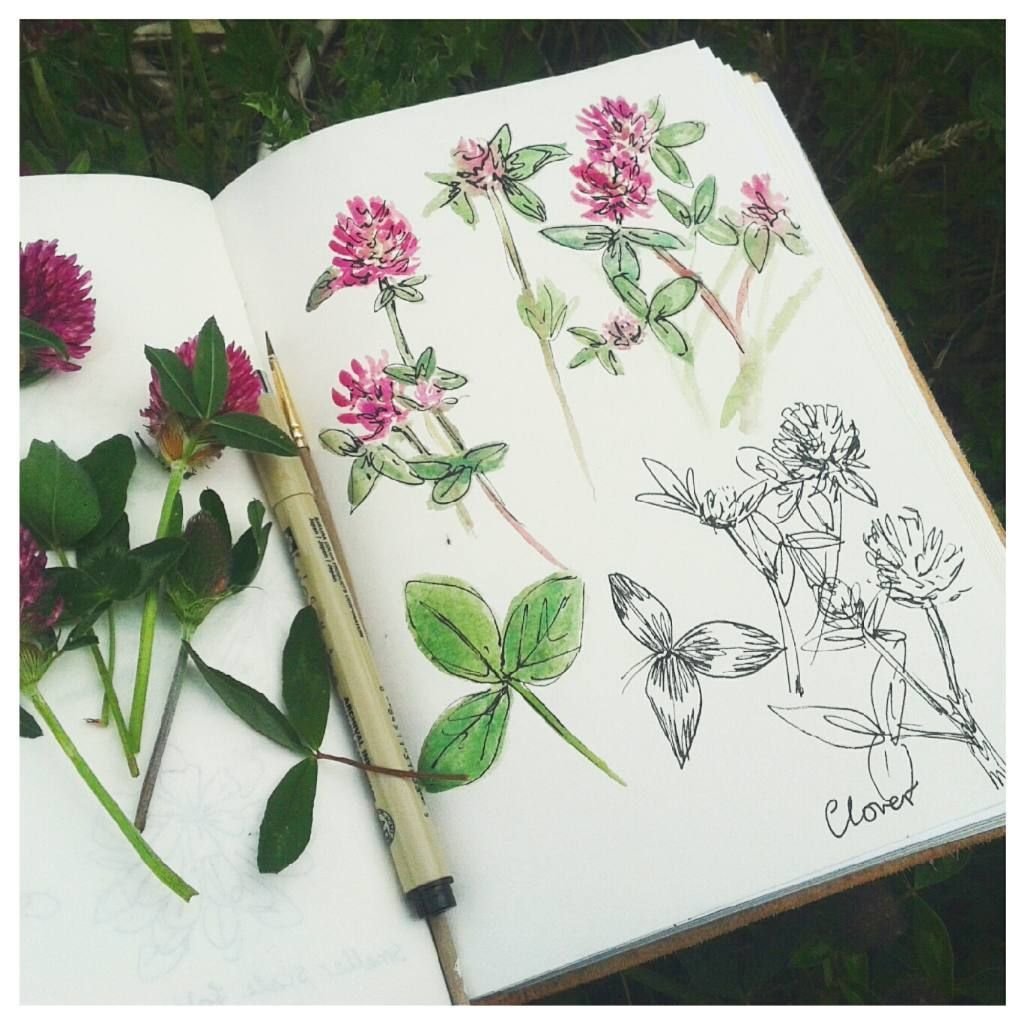 Зелень Минимализм