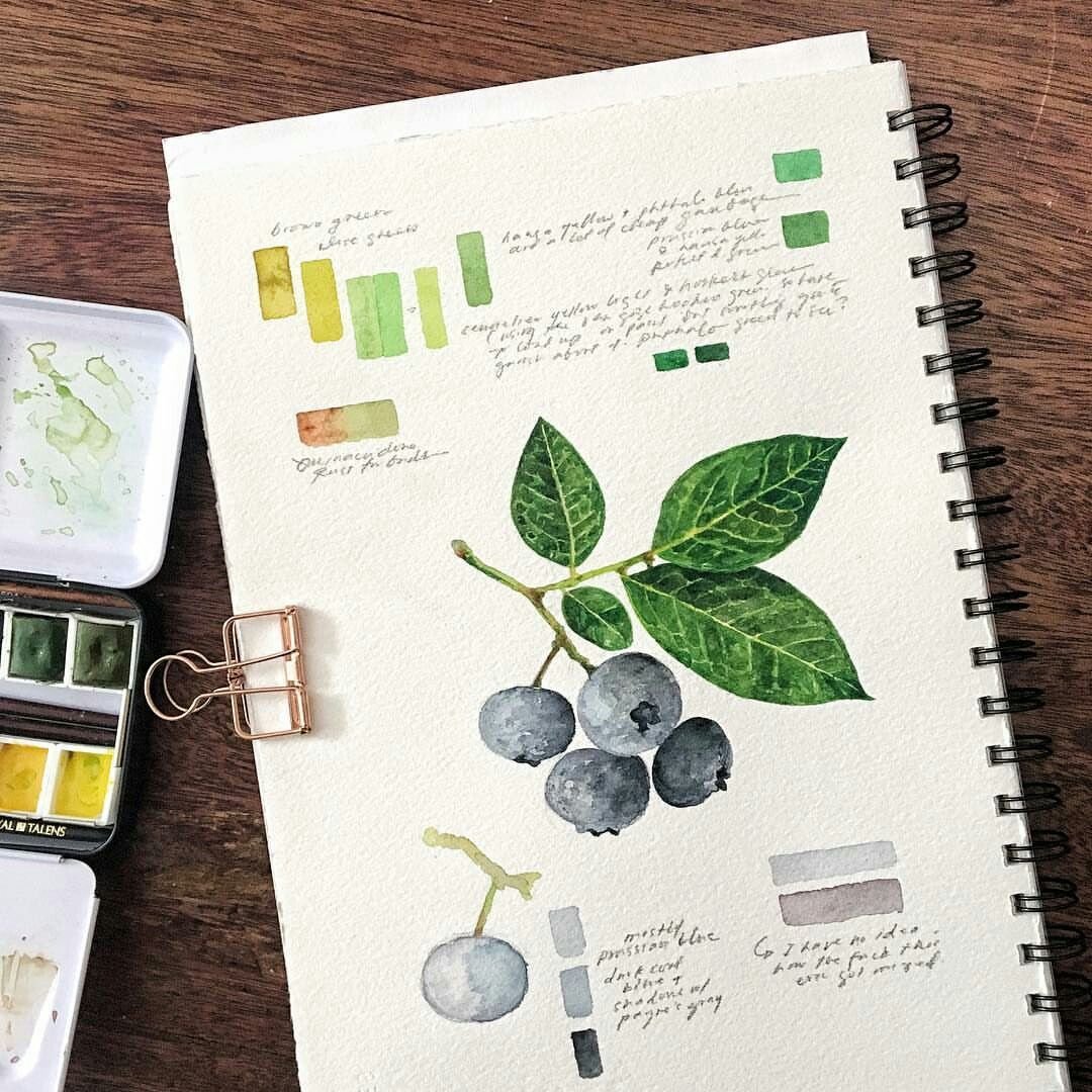 Ботаническая иллюстрация скетчбук