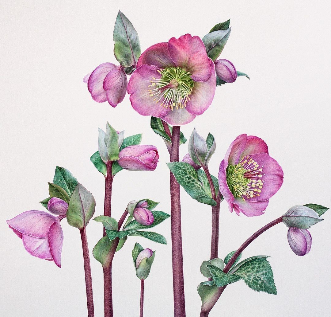 Листья Минимализм