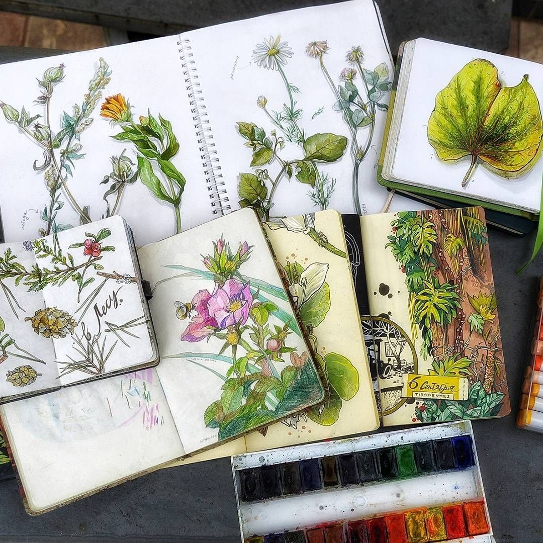 Ботанический скетчинг