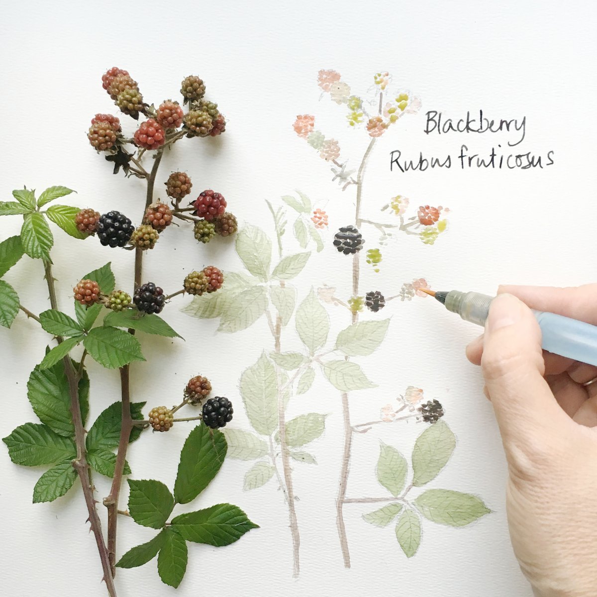 Discover through Craft: Plants