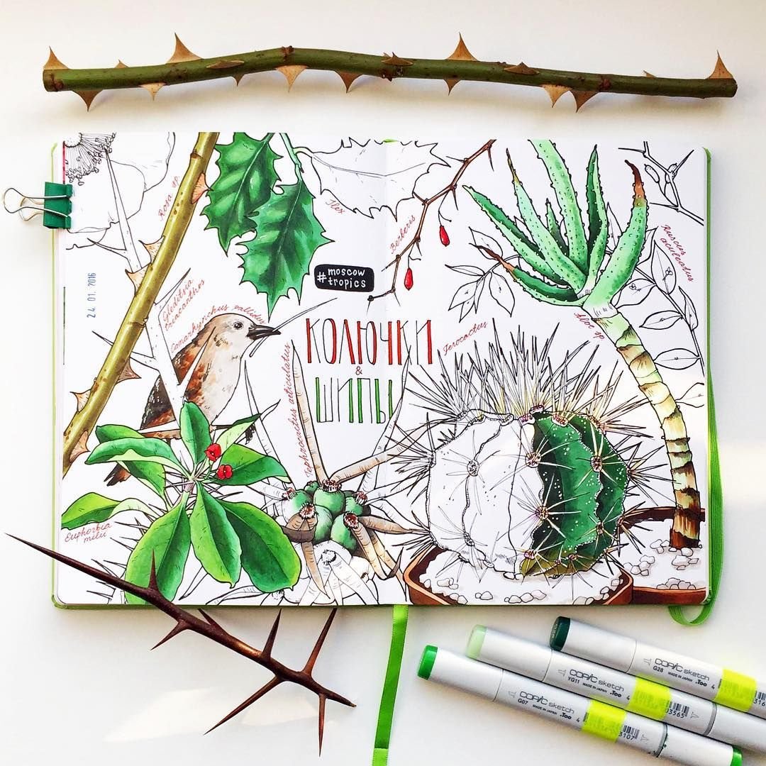 Ирина Володарская акварель