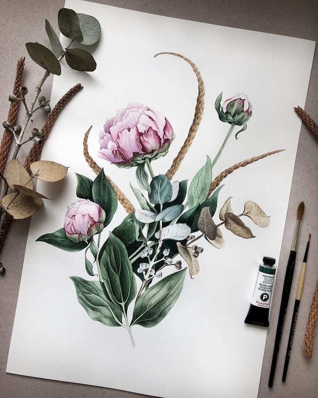 Ботаника картинки