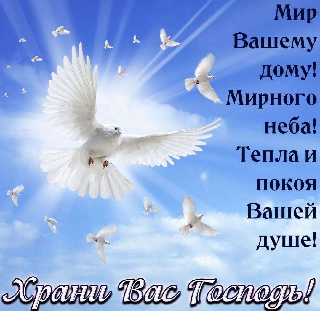 С днем Победы мирного неба над головой