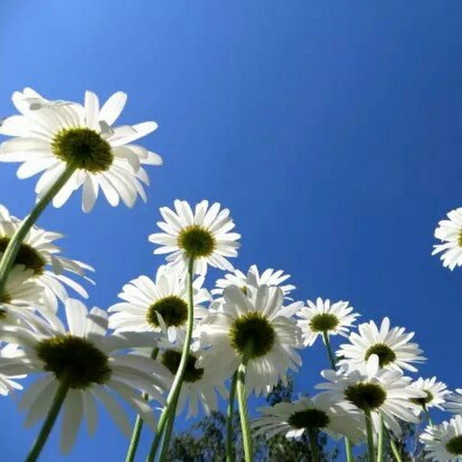 Доброе утро солнечного дня