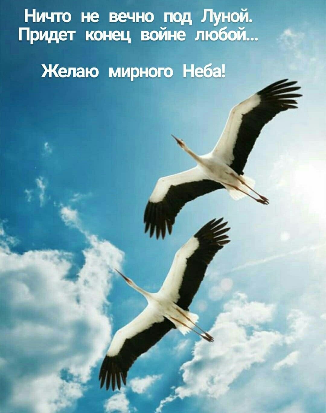 Открытка мирного неба