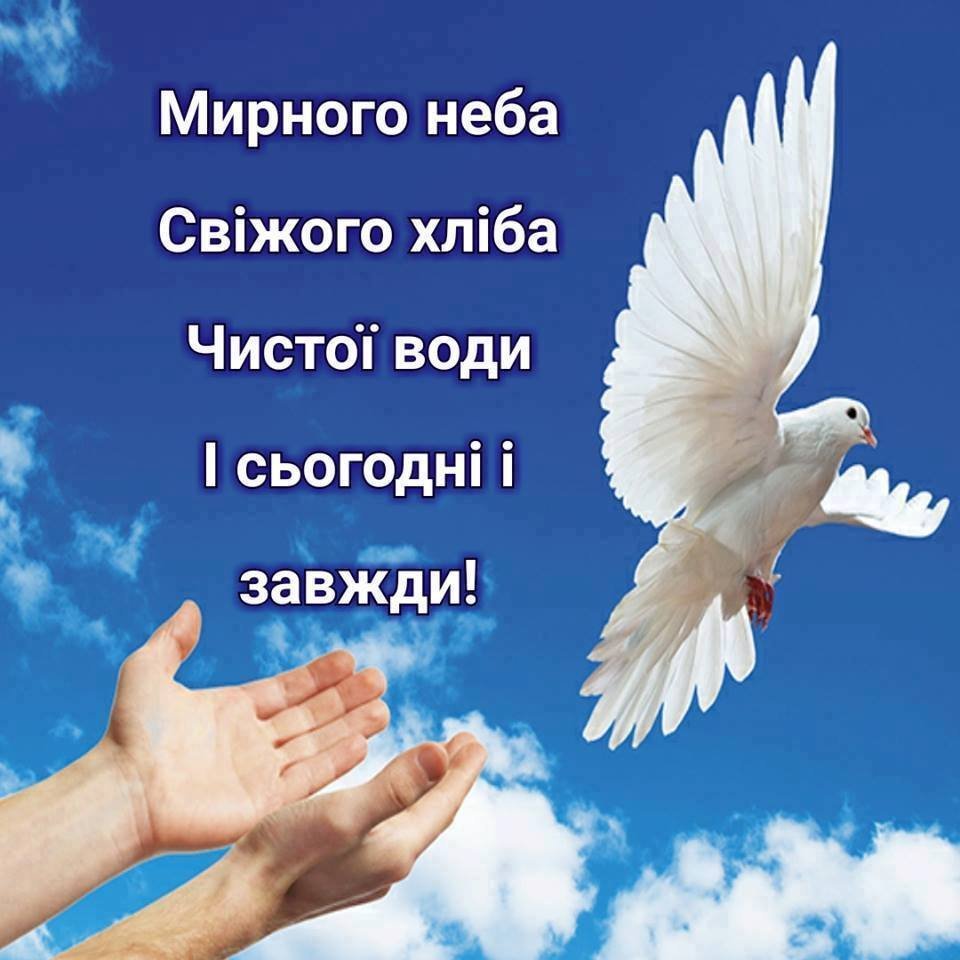 Мир без насилия