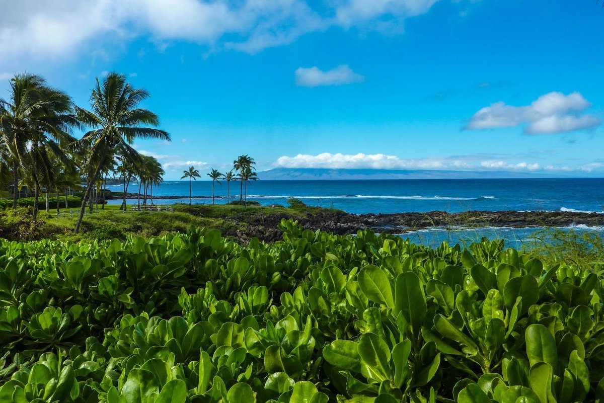 Долина Калалау Гавайи обои