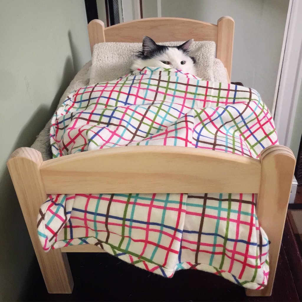 Котенок в кроватке