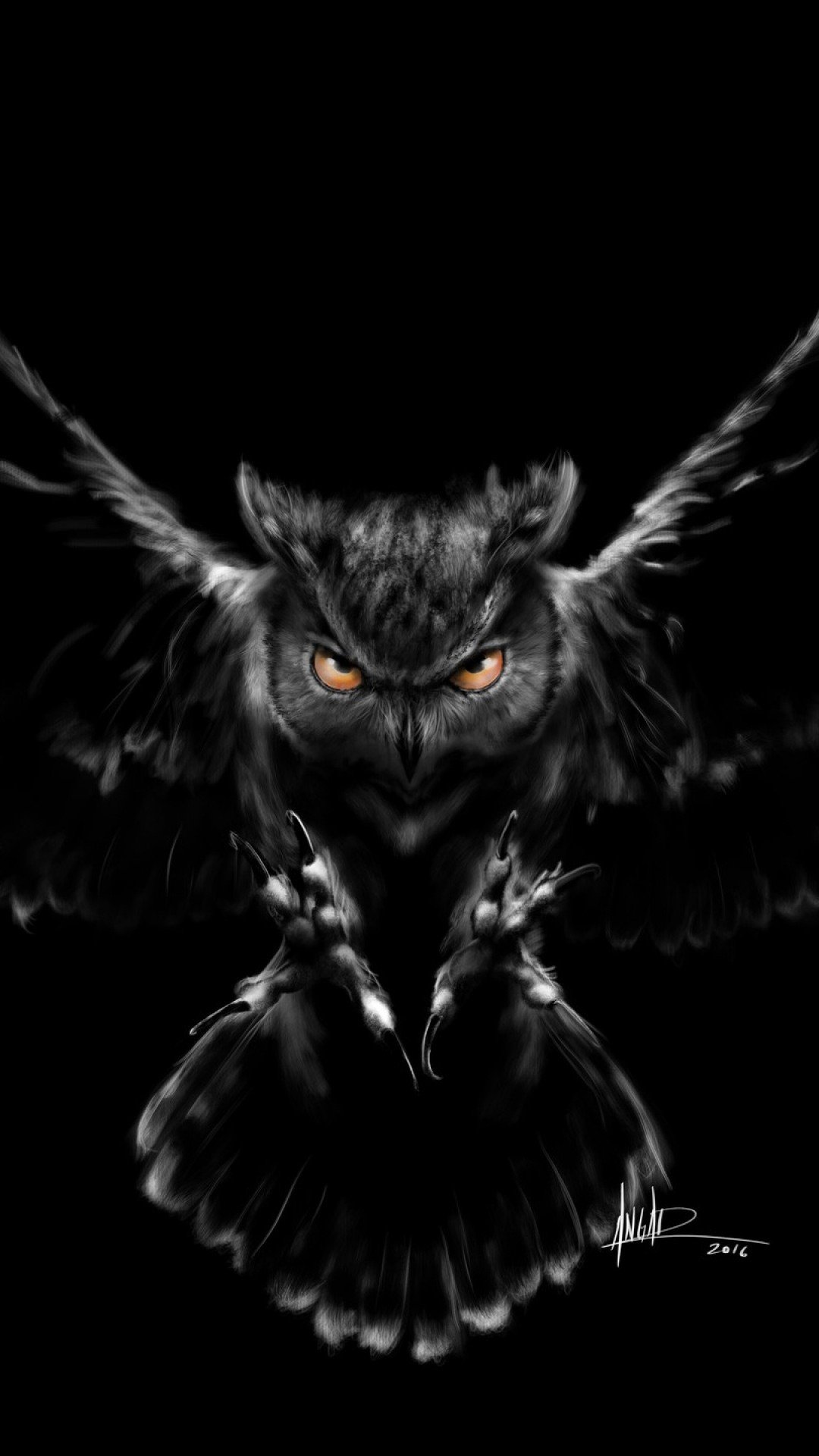Сова на черном фоне обои