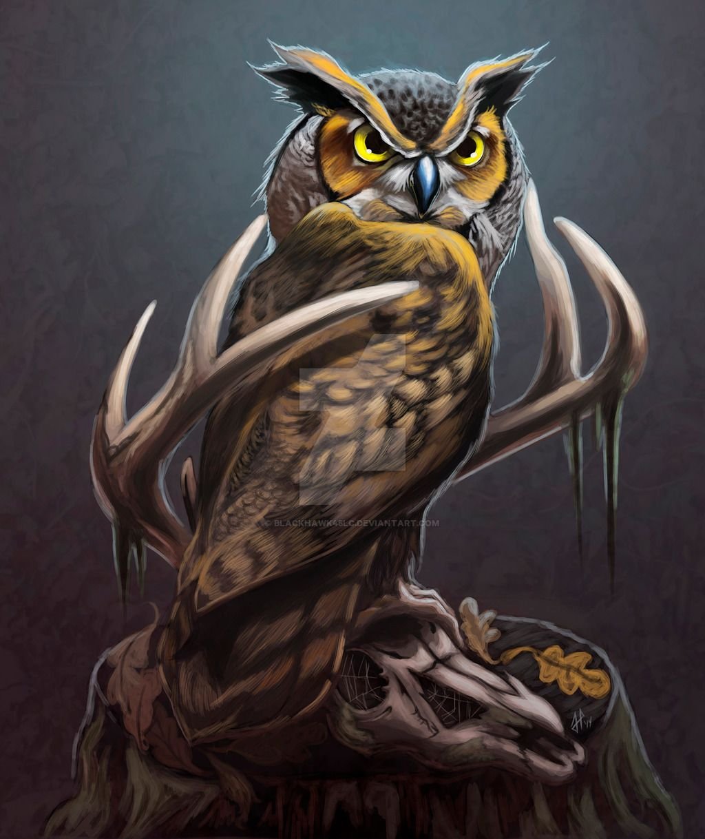 Сипуха арт фэнтези