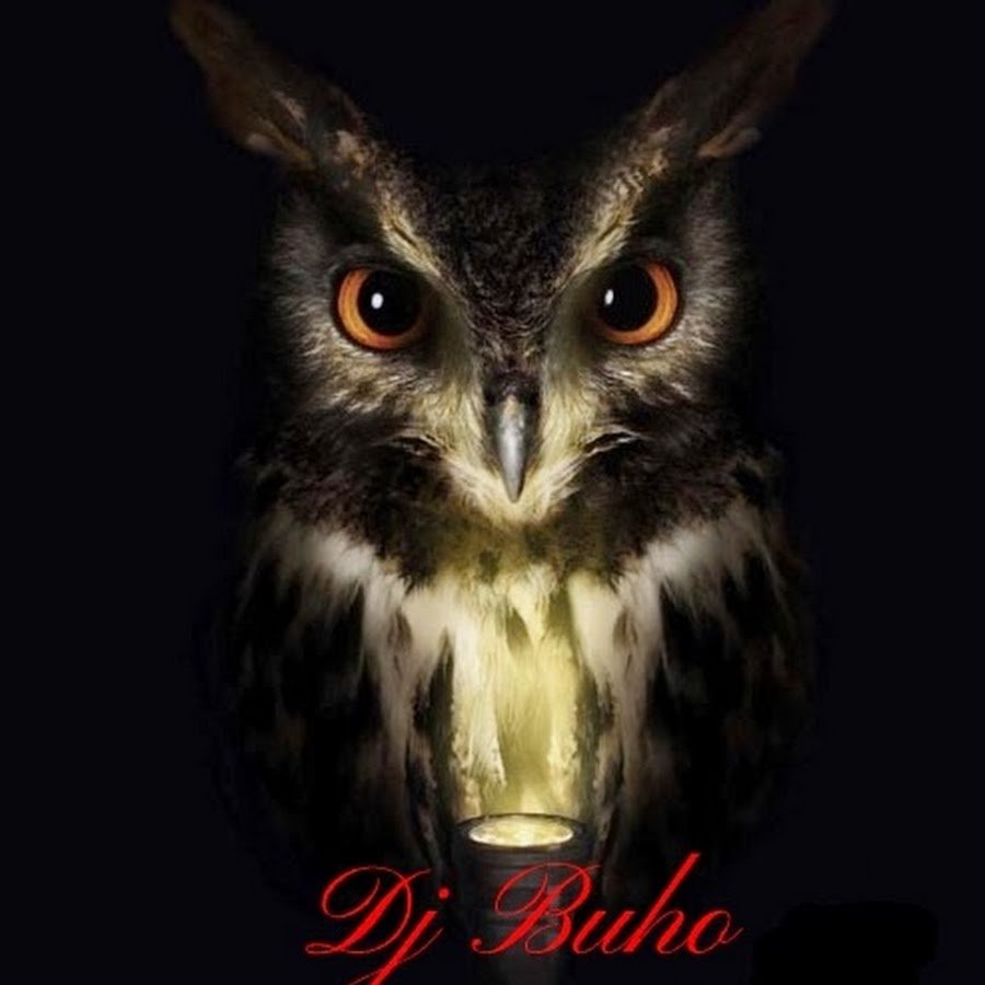 Сыч и ушастая Сова