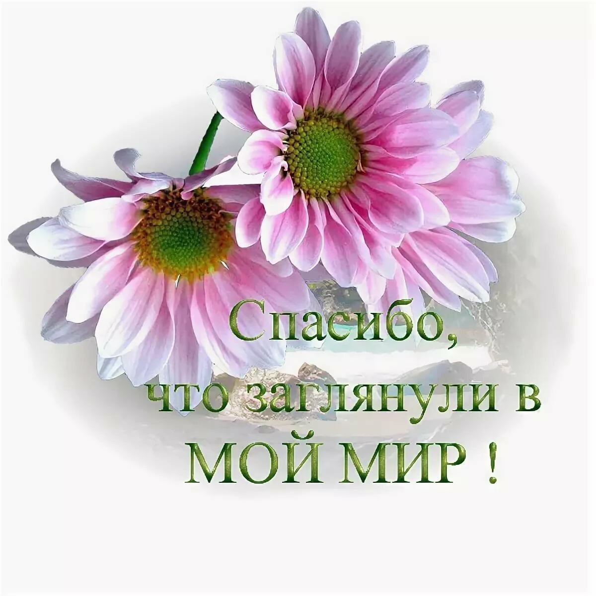 Спасибо за внимание ко мне