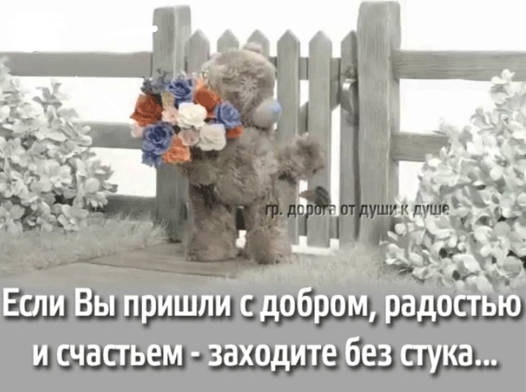 Поздравления спасибо