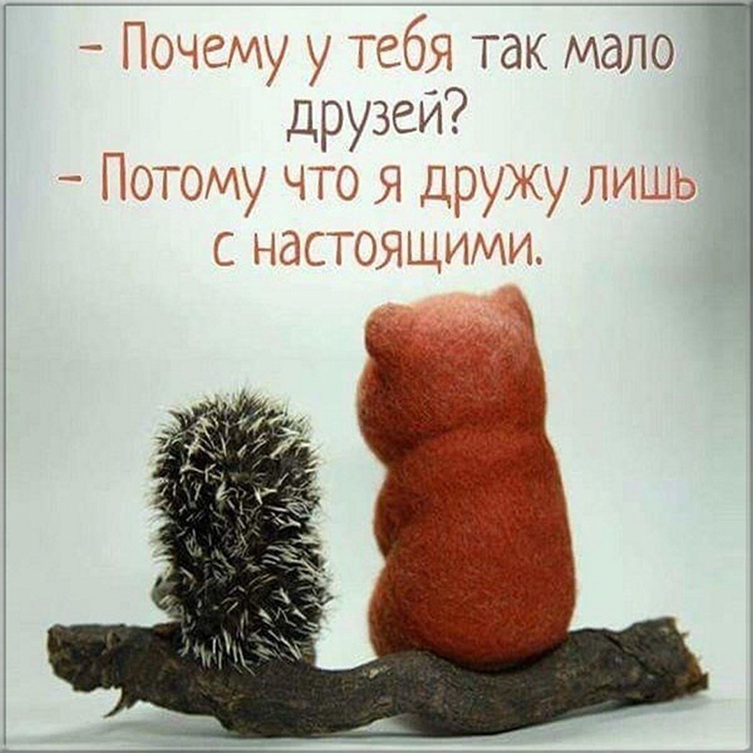 Супер открытки